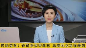 深入了解墨西哥世界杯人浪文化的魅力